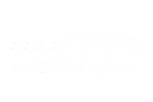 Shan Automotive logo